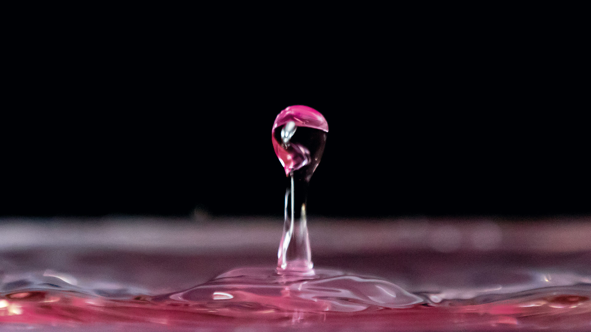 Pink water droplet pinging up after something was dropped into the water