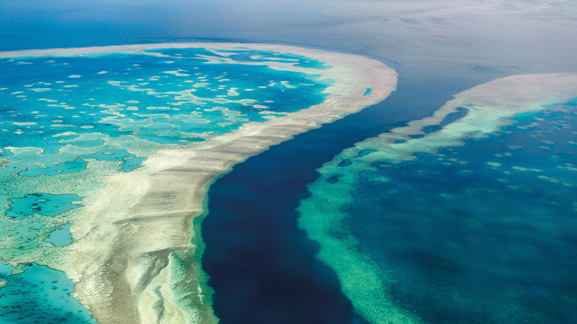 Aerial view of the great barrier reef