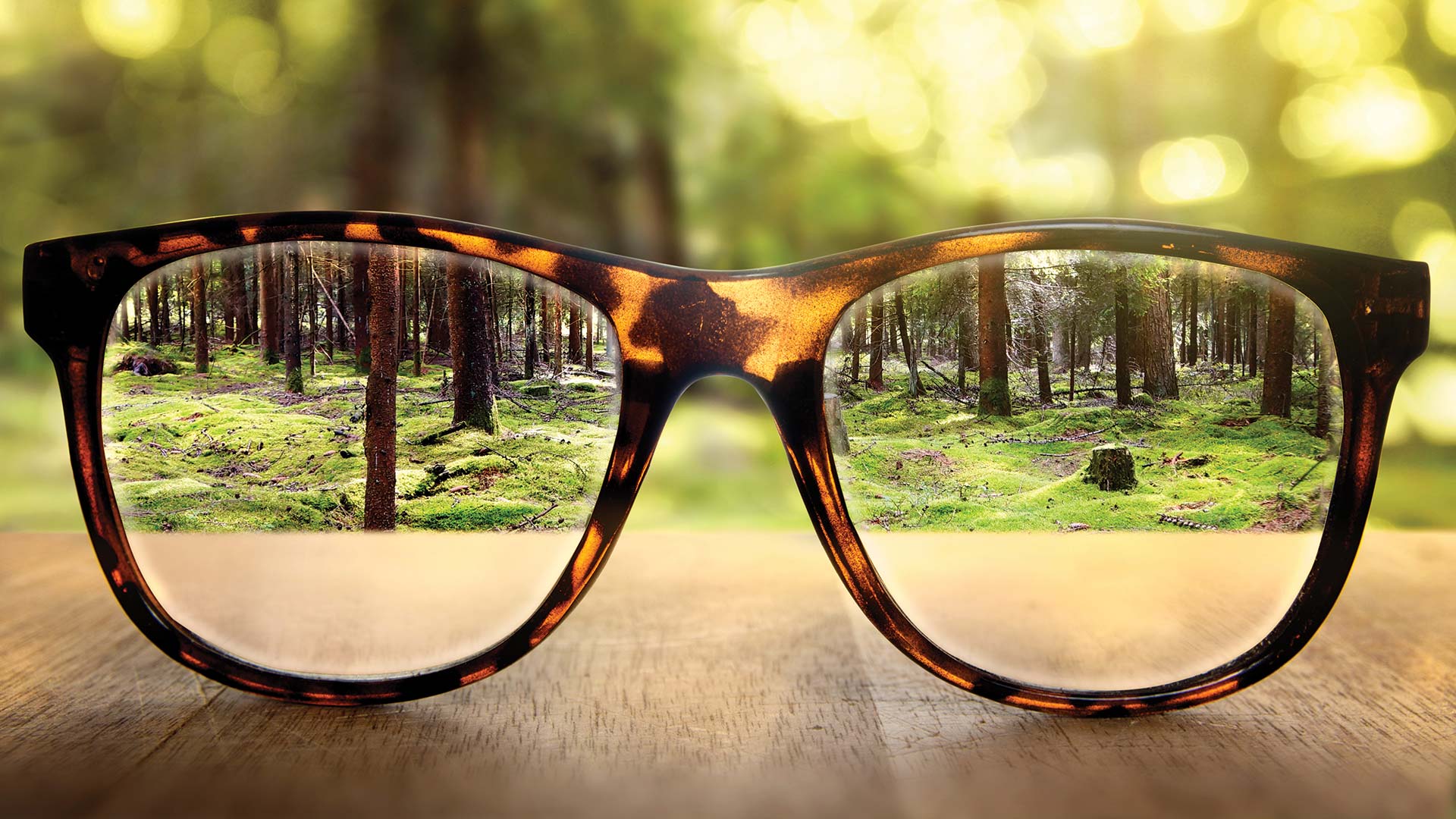 Looking through a pair of glasses revealing a clear view of a forest