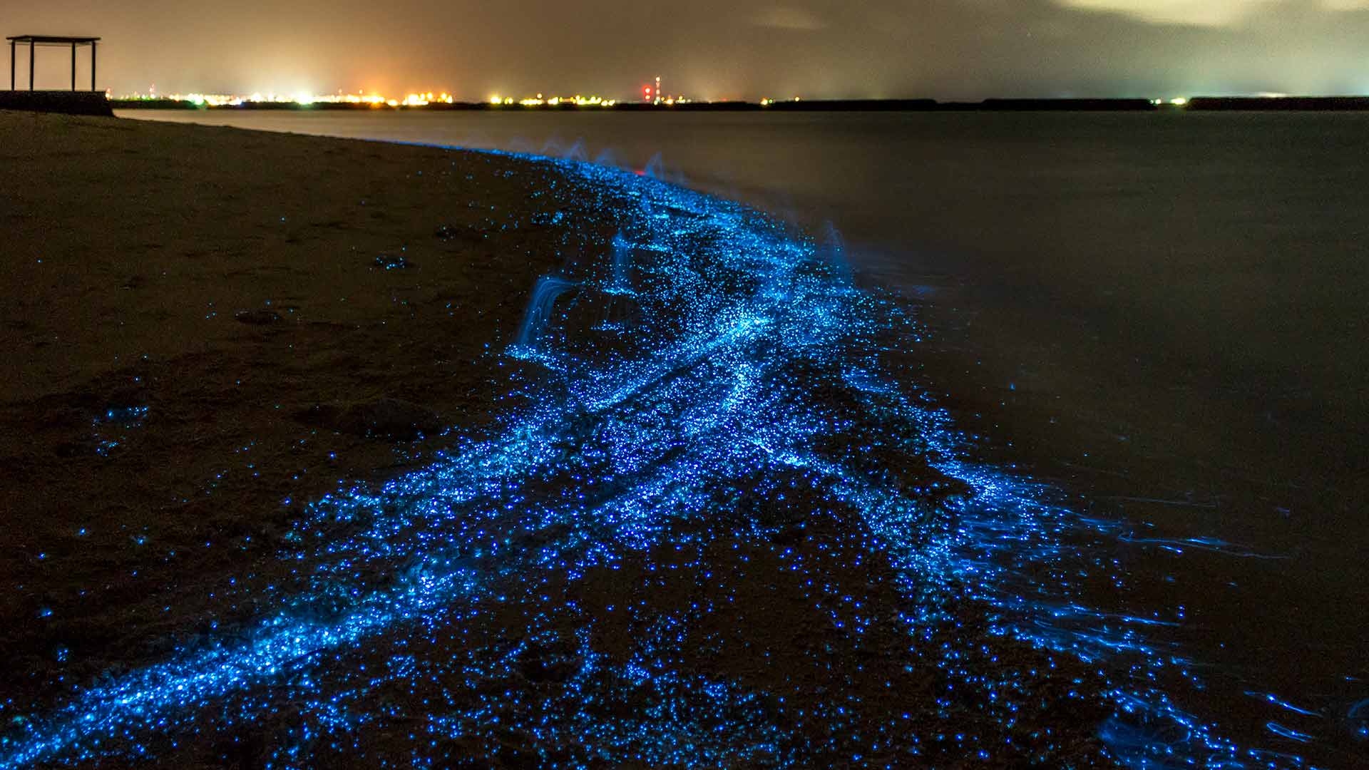 bio-luminescence-illumination-of-plankton-at-maldives