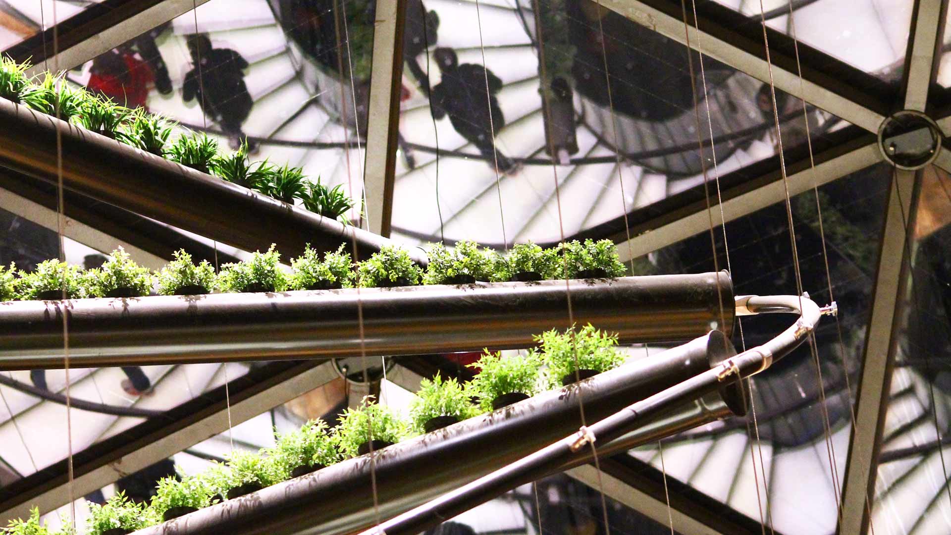 Building and plants on escalator