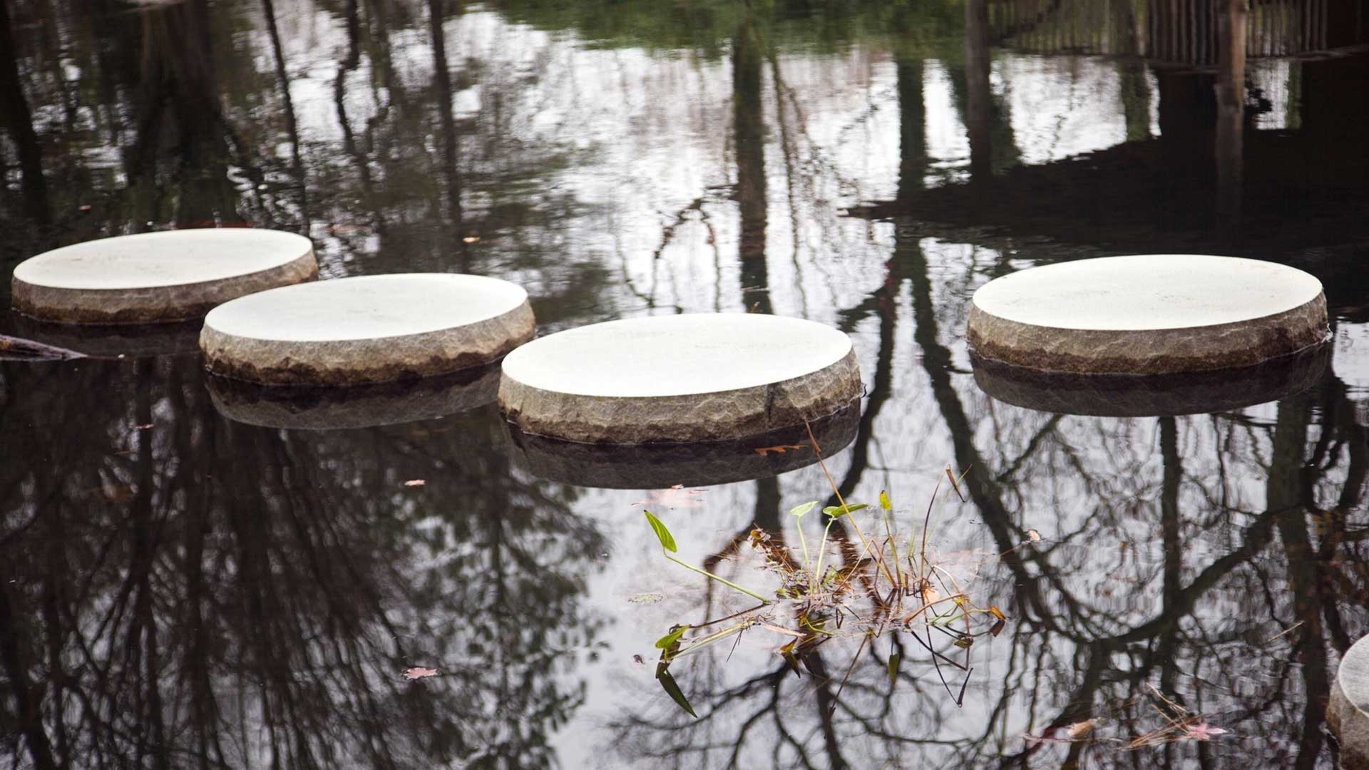 Four stepping stones in a Japanese garden pond