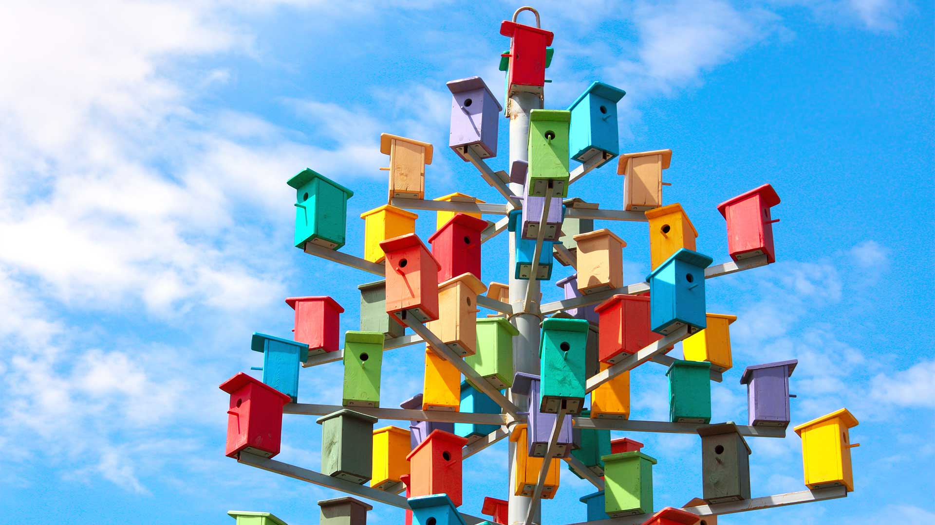 A tree of colourful bird boxes