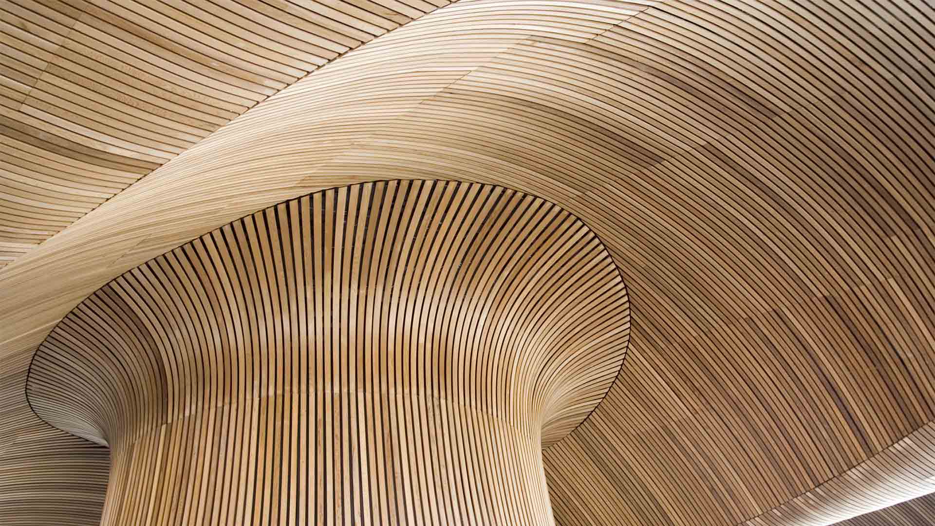 Welsh Assembly wooden roof