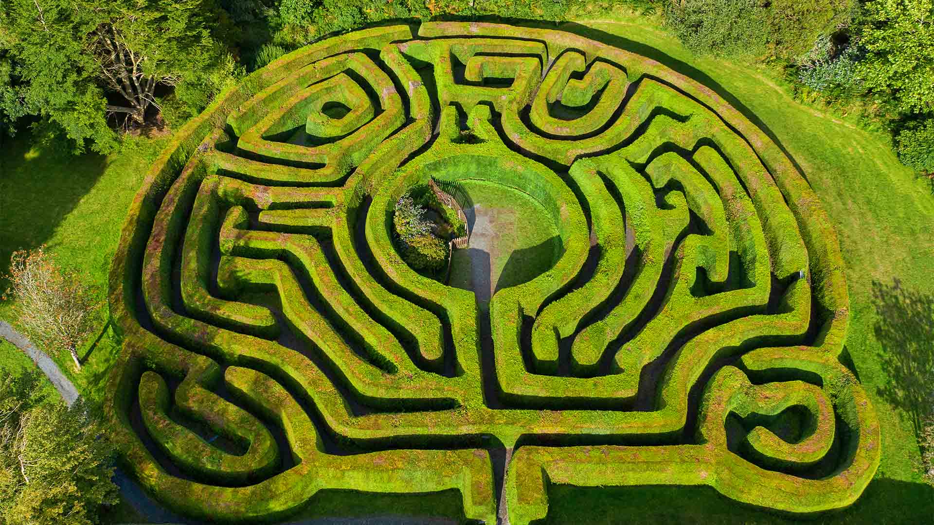 A maze in Ireland