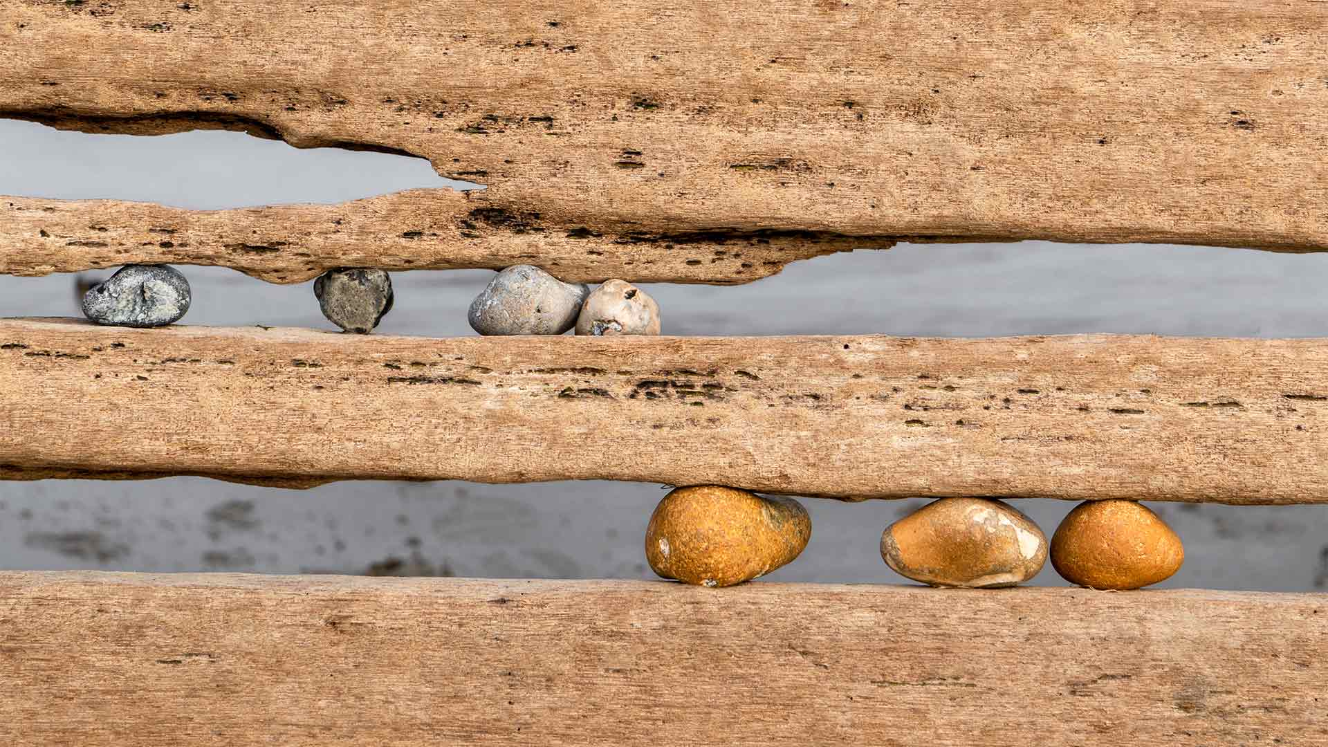 Squeezed colour stones between drift wood