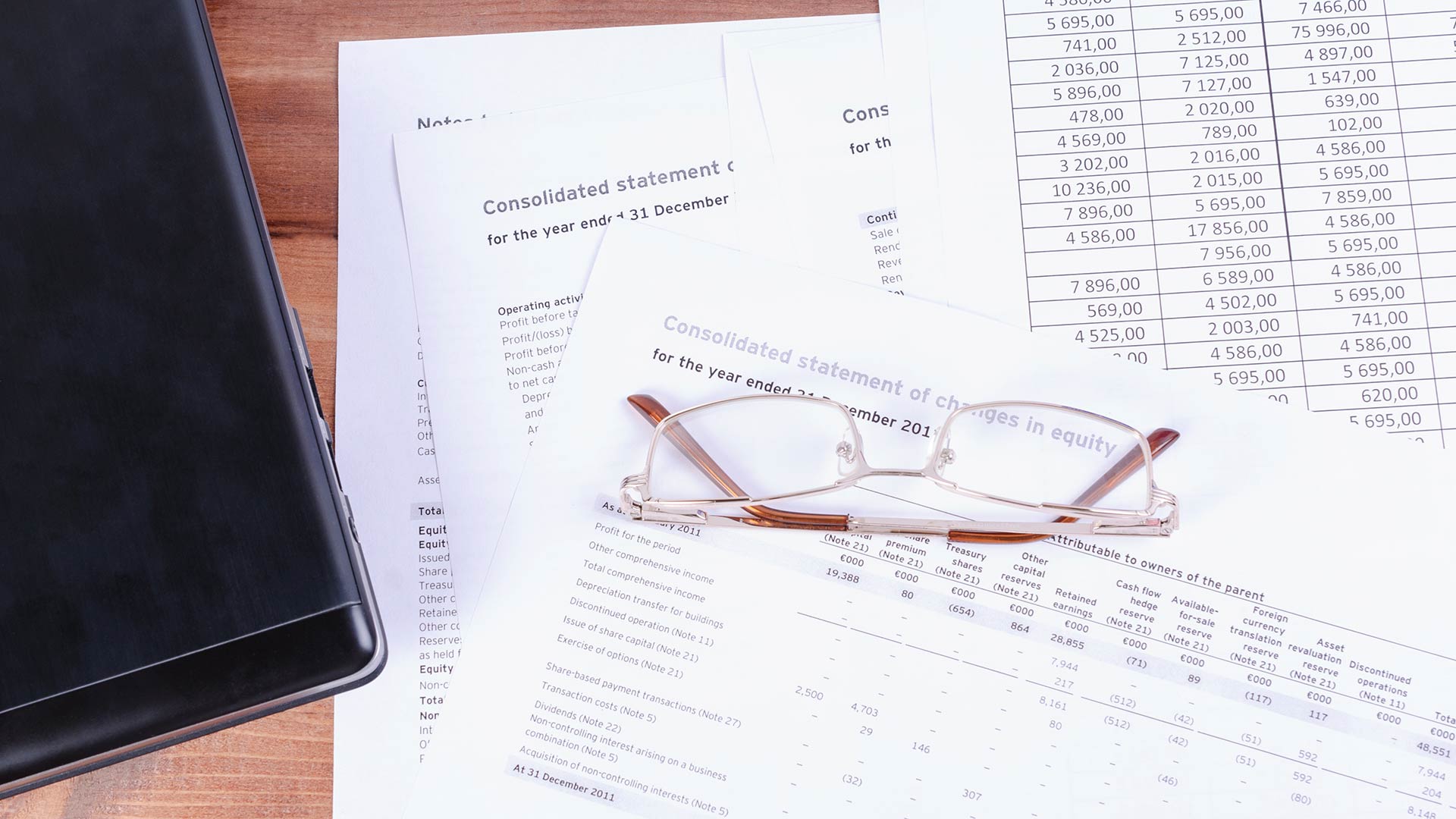 Financial statement documents