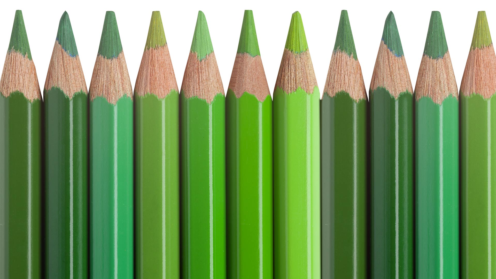 A row of pencils all in different shades of green