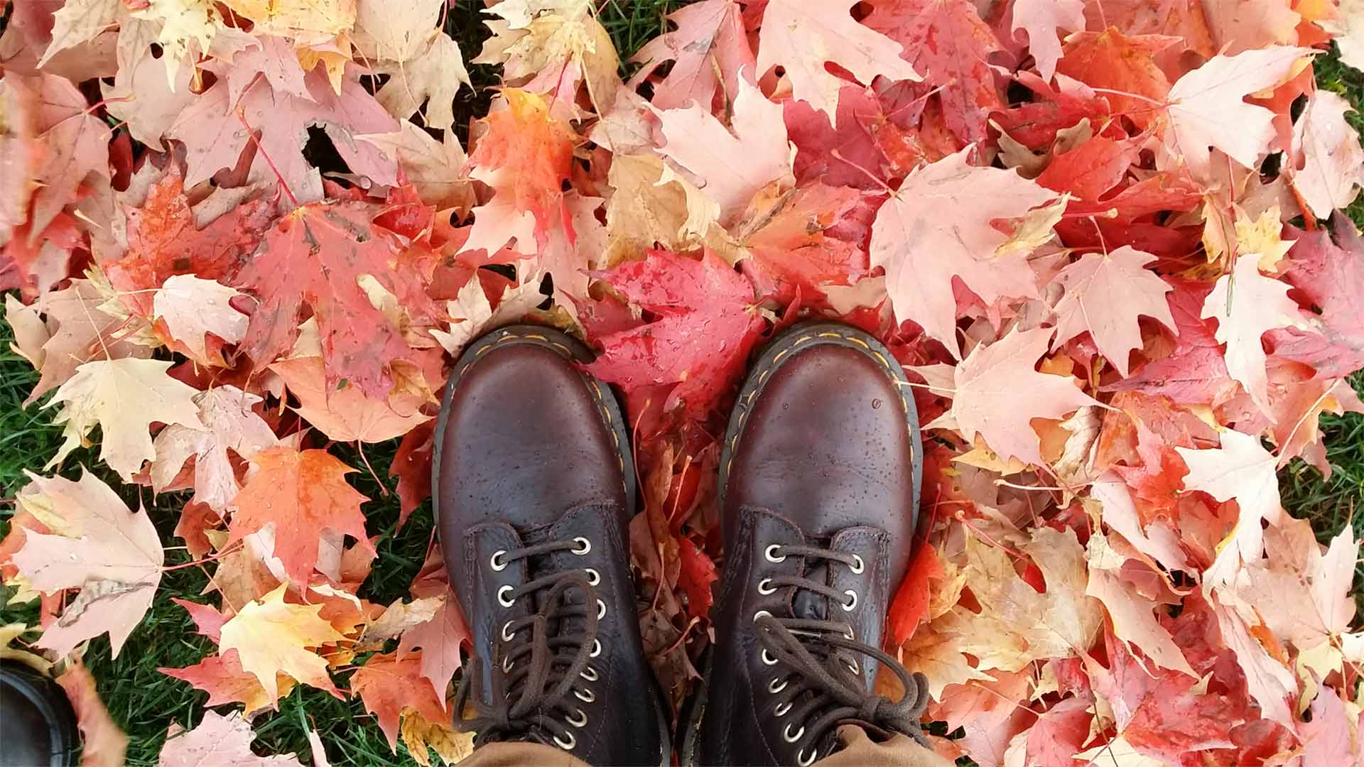 Dr. Martens boots in leaves