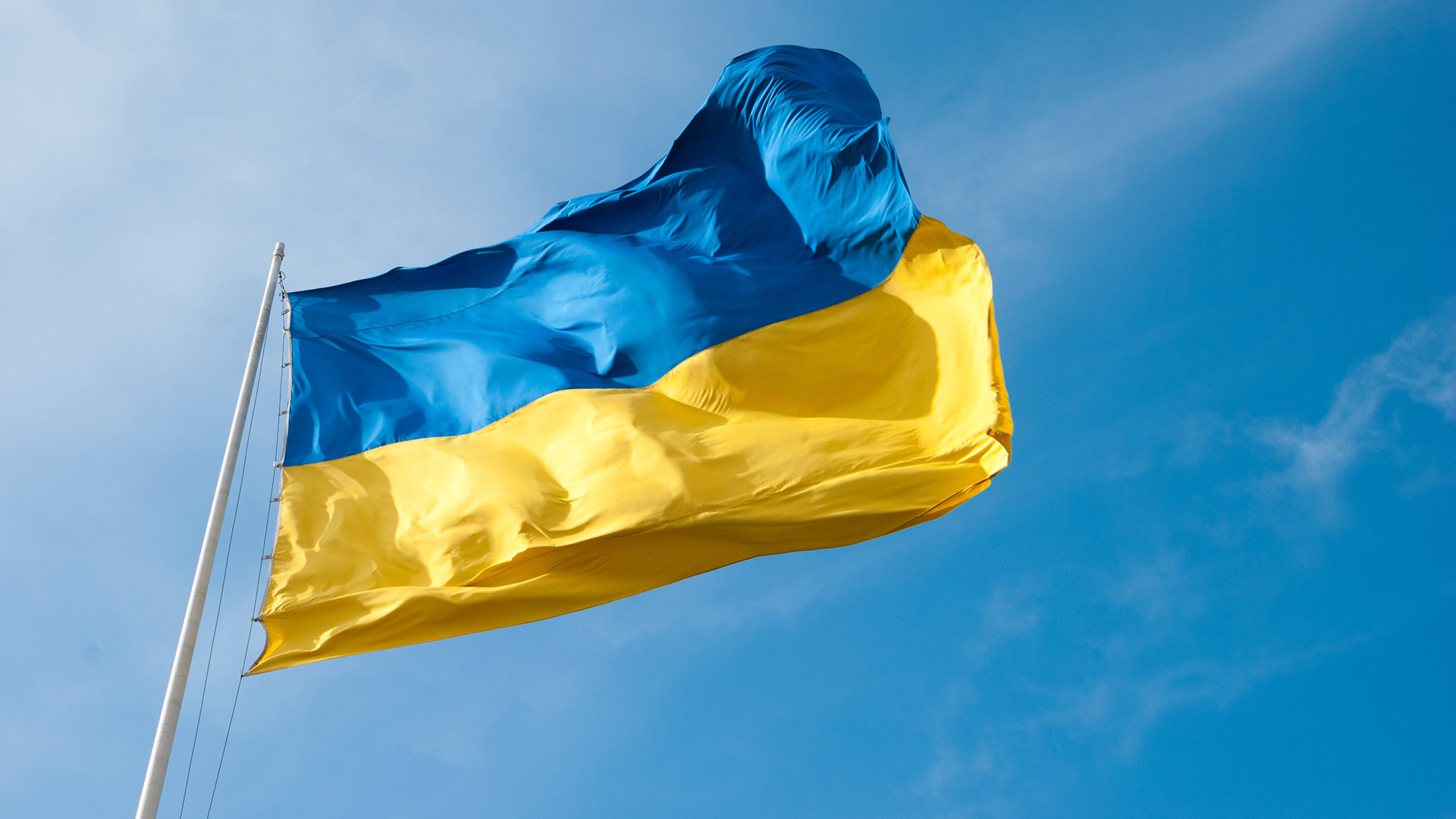 Flag of Ukraine in the wind