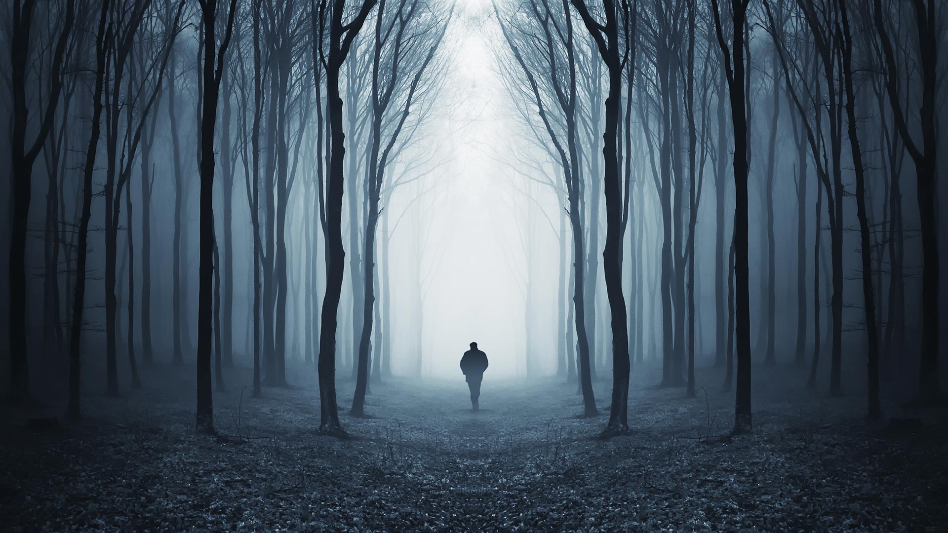 Person walking into the foggy woods with not much visibility