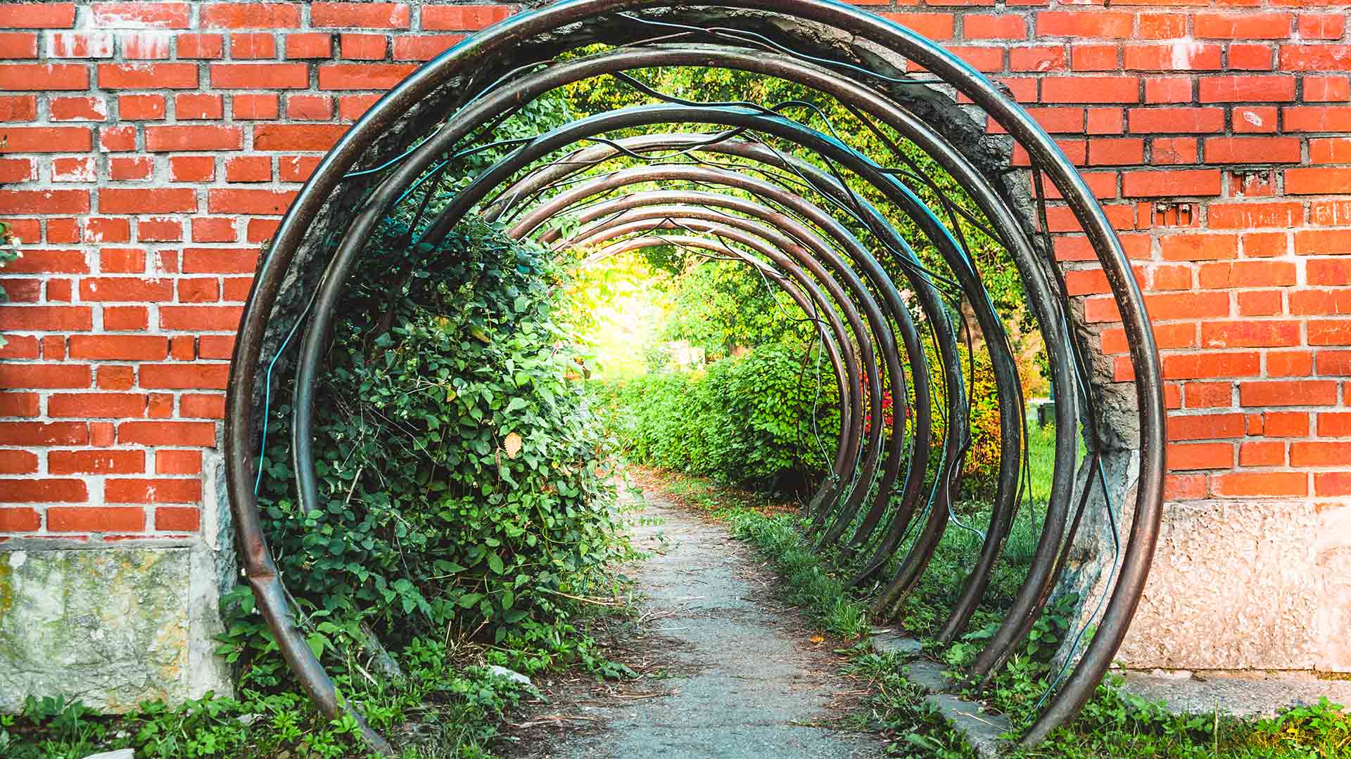 Symbolic portal to a green garden through a brick wall