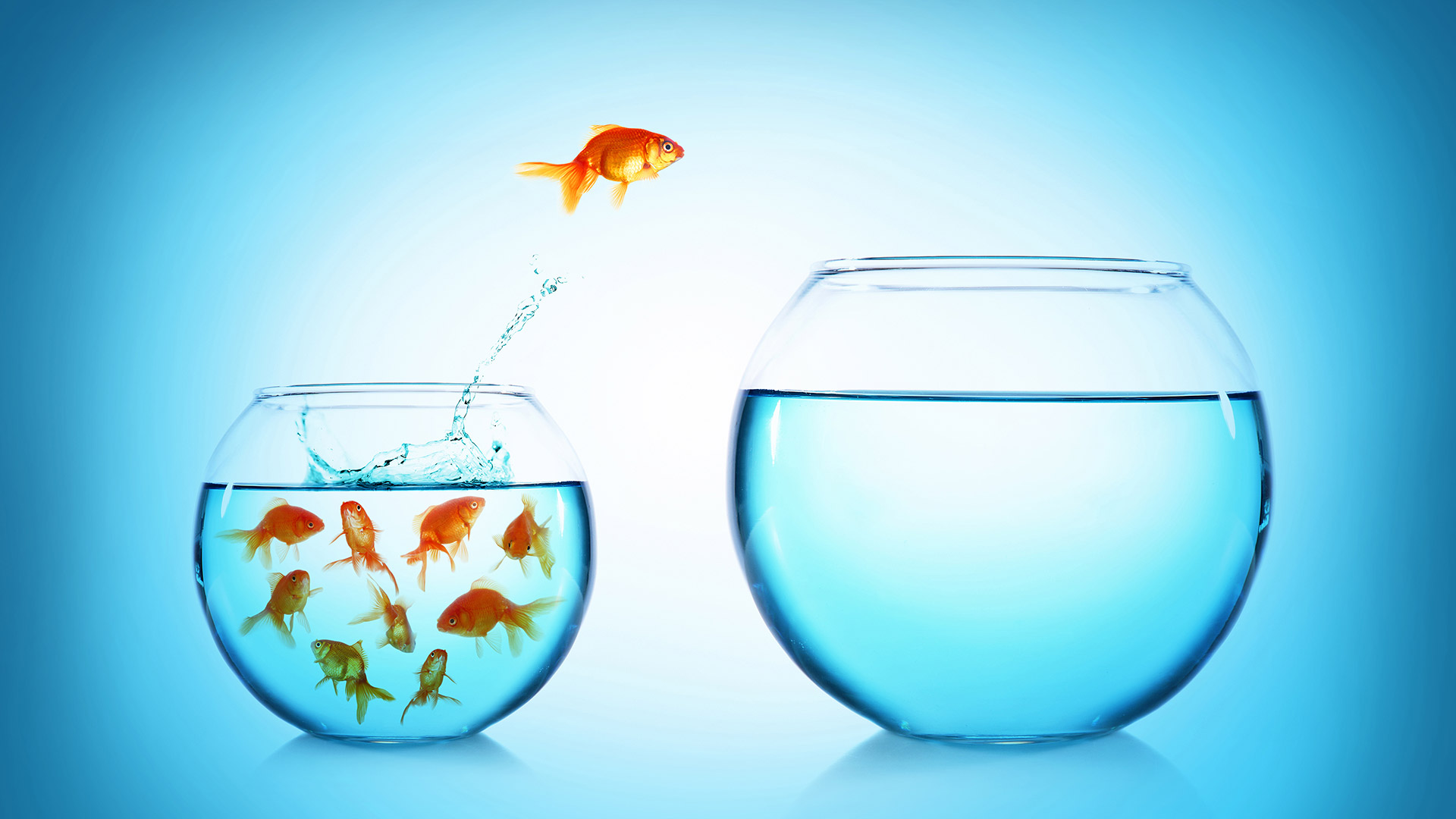 Goldfish jumping from small crowded fish bowl to big, empty one