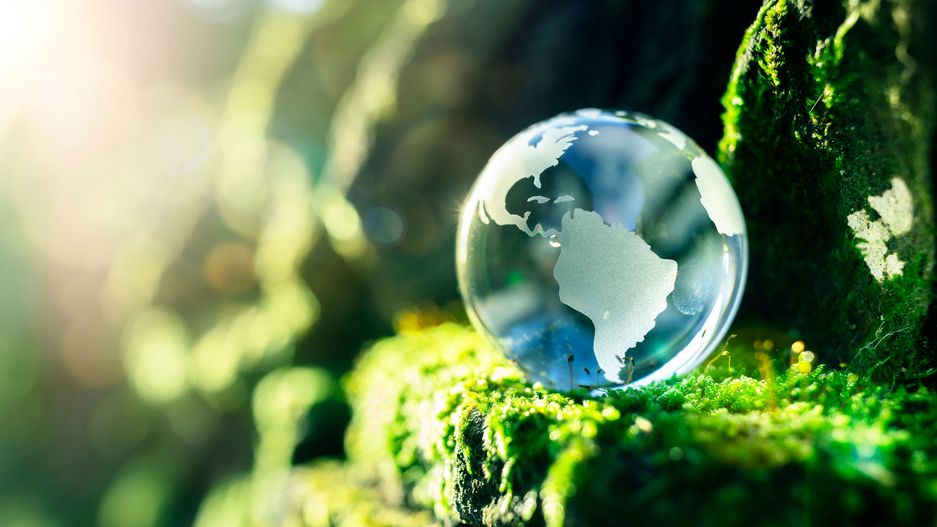 Sustainable finance: what does it mean for treasury?