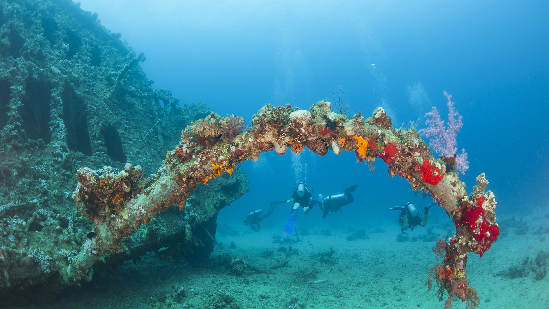 Scuba divers exploring old shipwreck