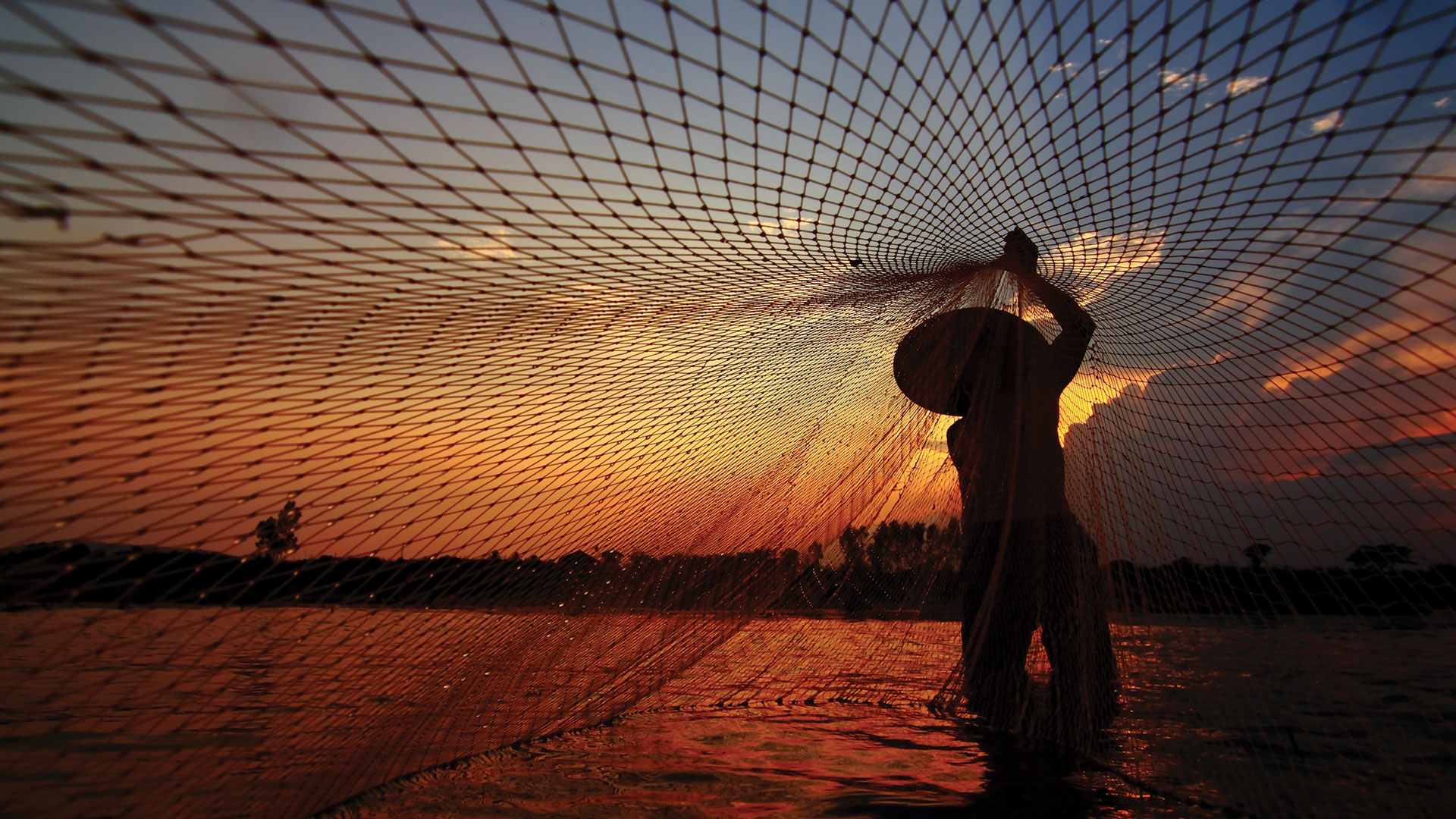 Person casting a net