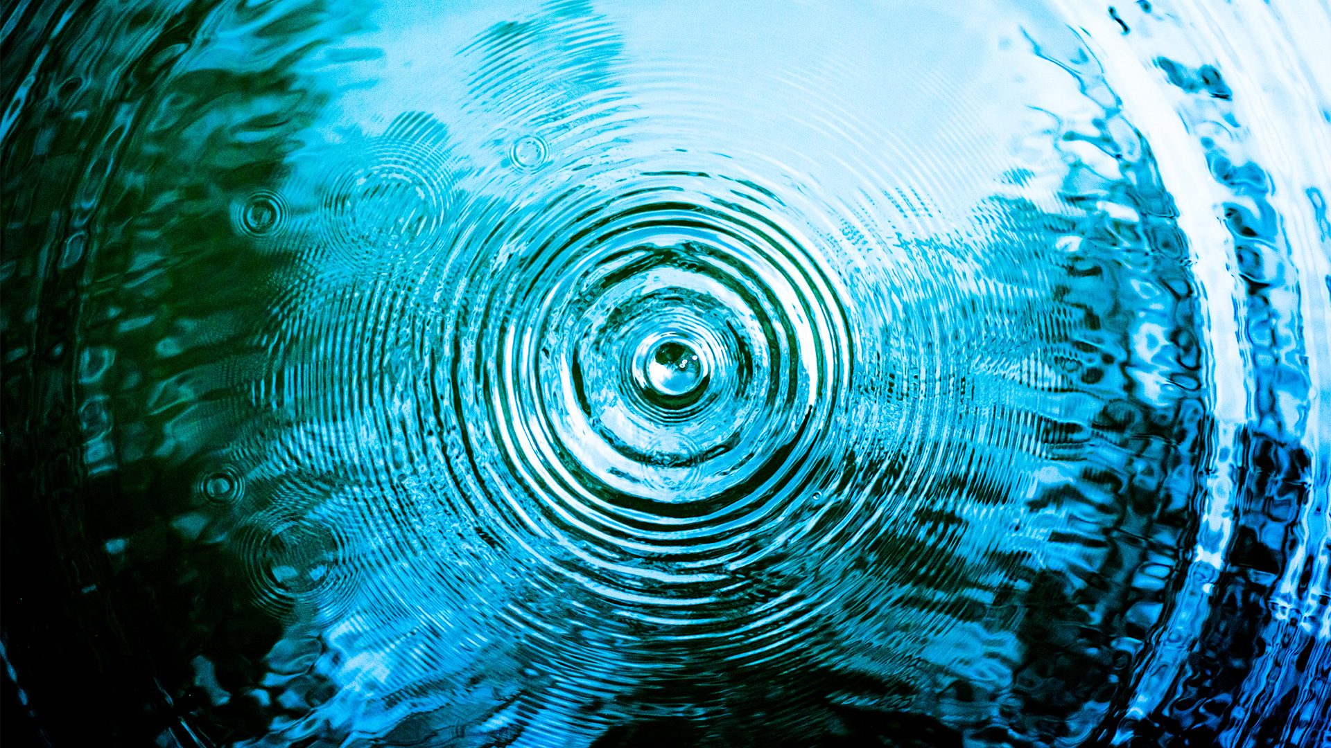 Top view of a ripple in water