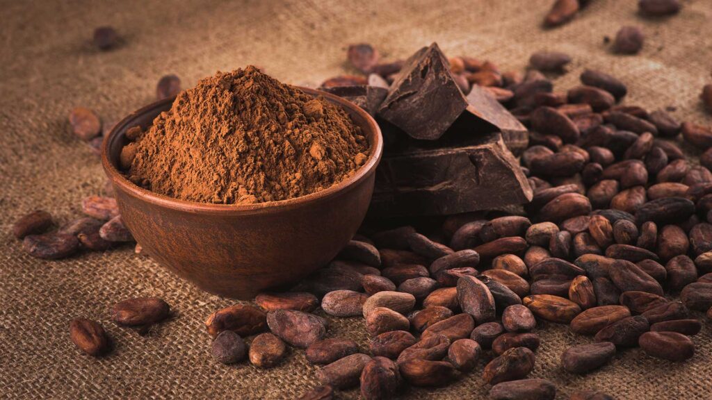 Cocoa beans and powder to make chocolate