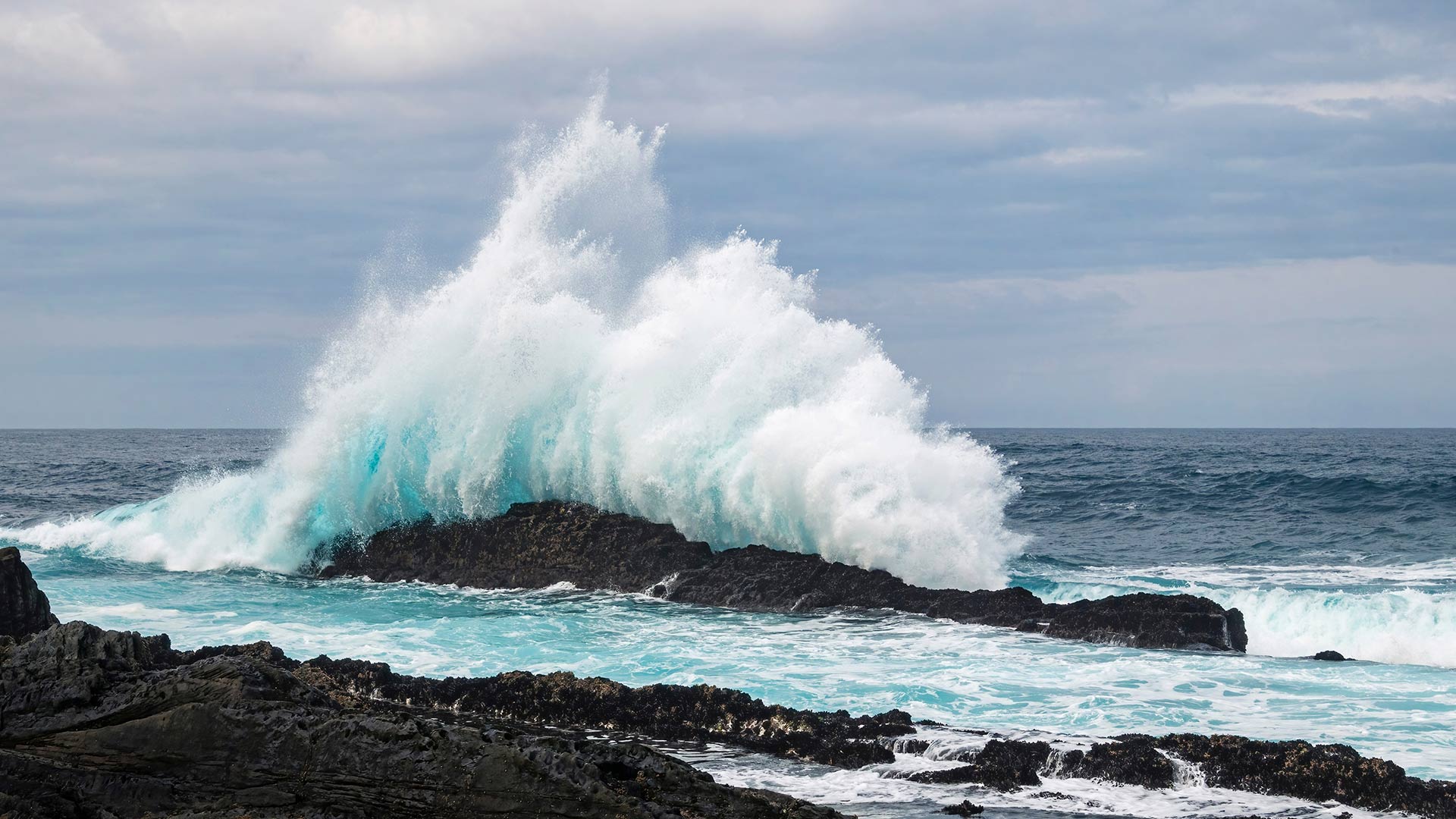 Ocean waves crashing against the rocks