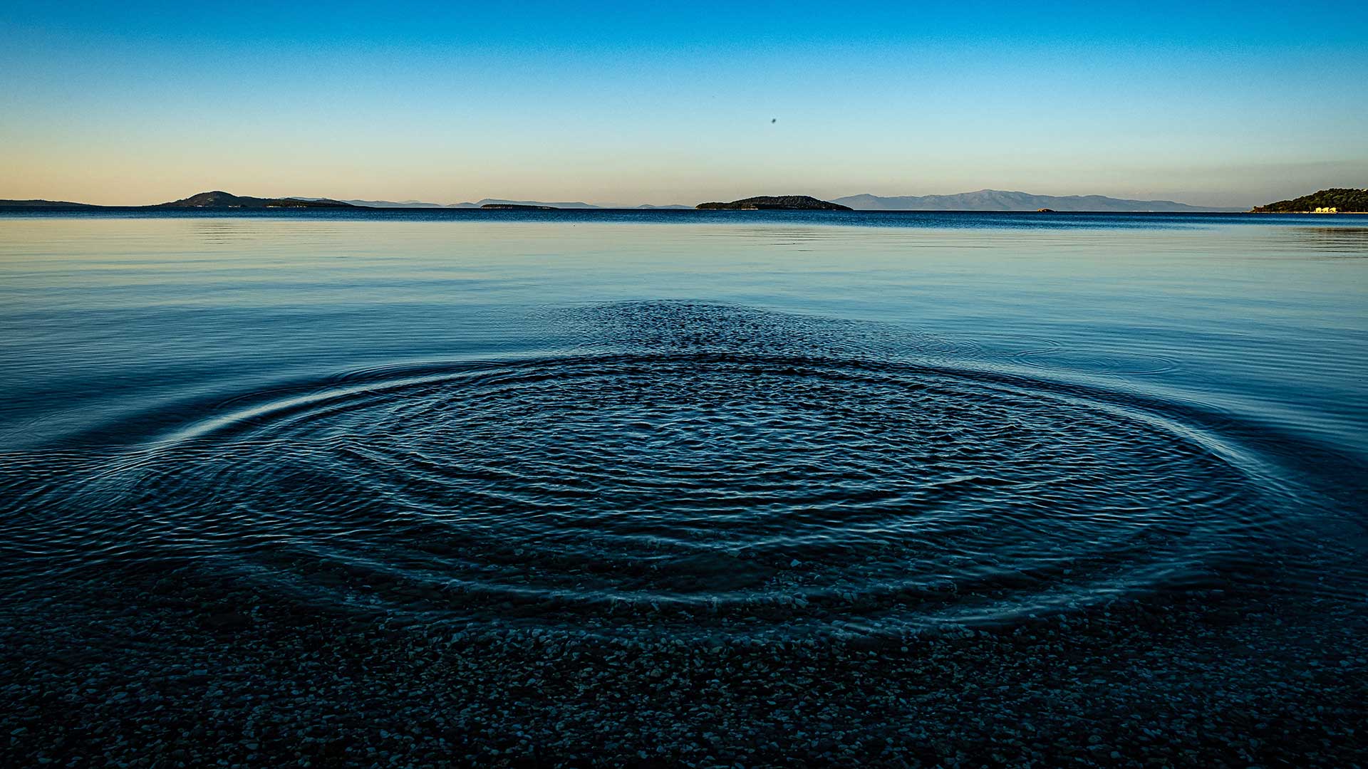 Diversification benefits ripple across Asia | Treasury Today