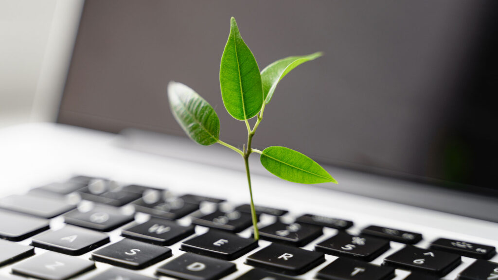 Plant growing out of laptop keyboard
