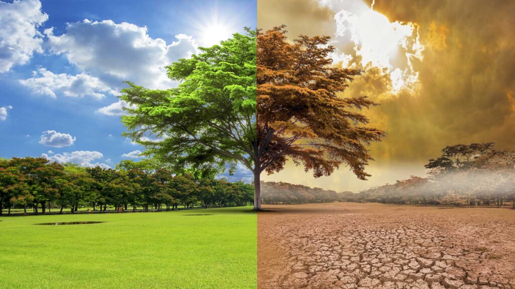 Global warming concept with the green grass and trees becoming brown and dried out