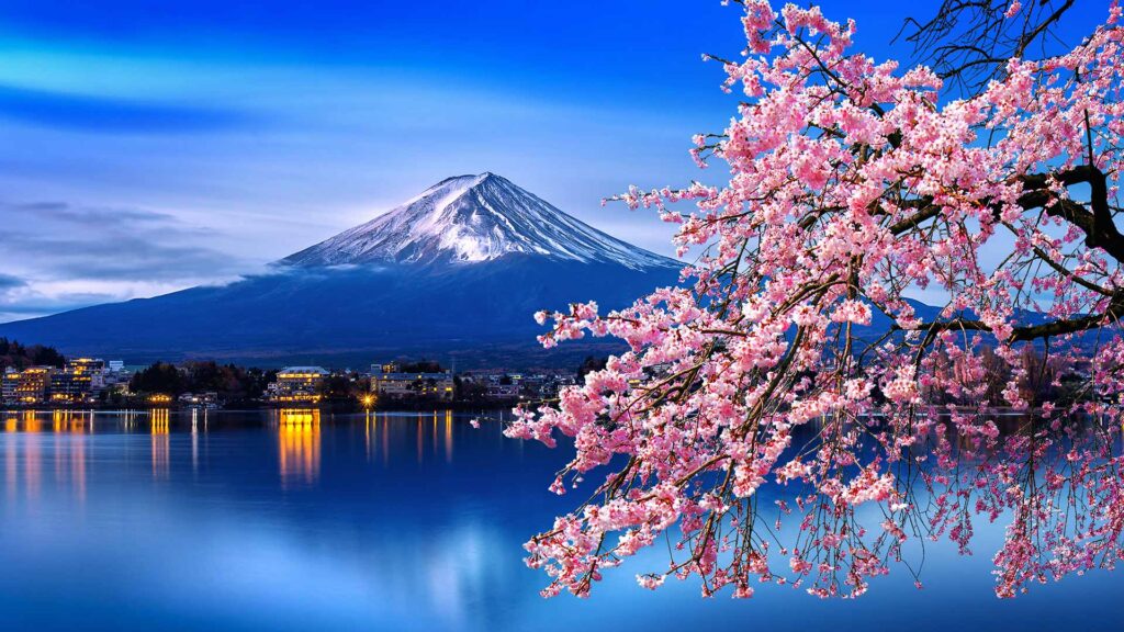 Moutain Fuji with cherry blossom in the foreground