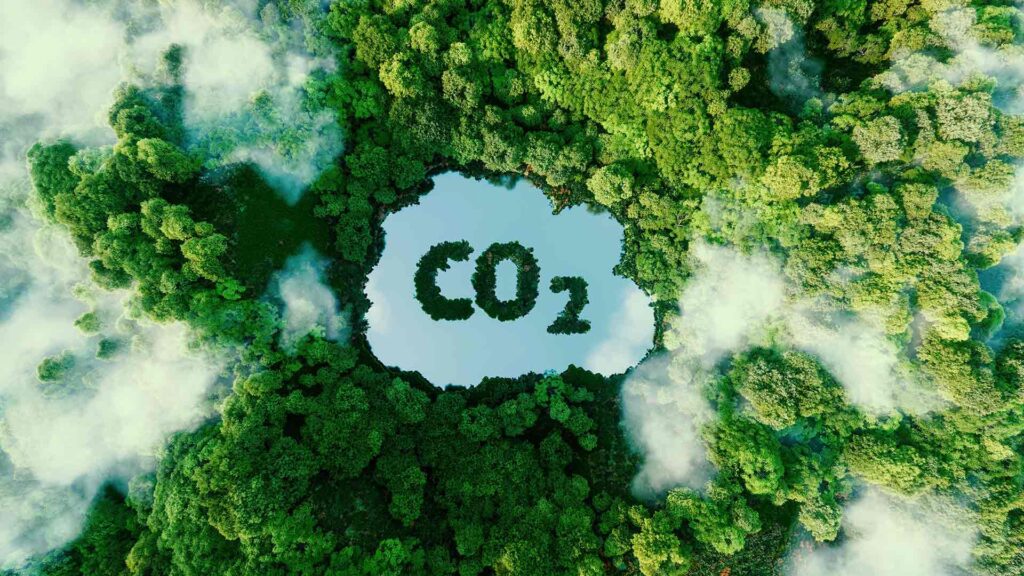 CO2 cloud cut out of forest full of green trees