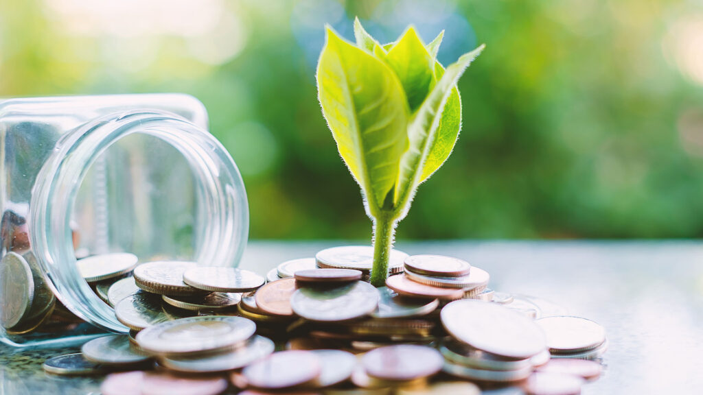 Jar of coins knocked over with a plant growing out the coins