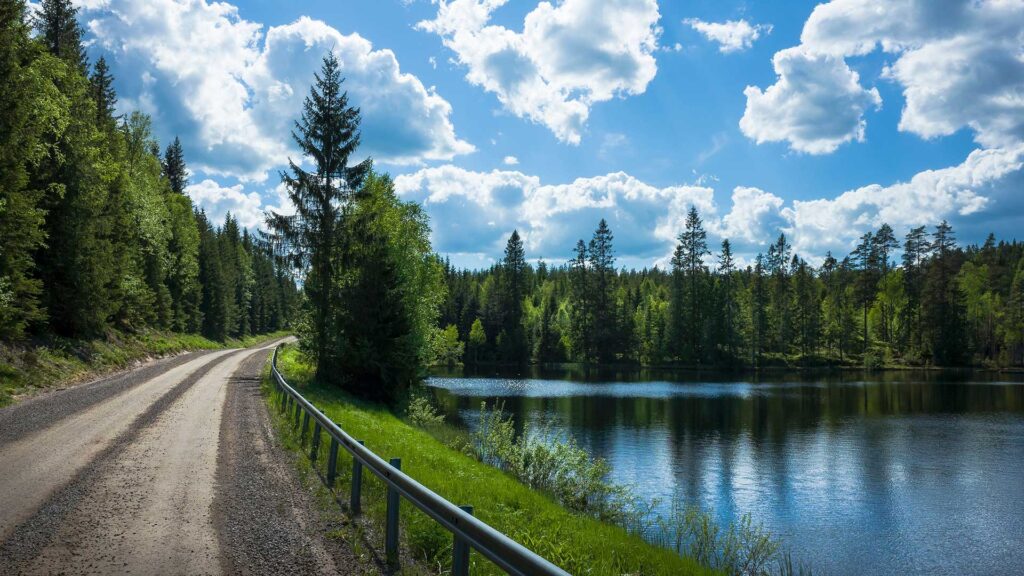 Road by a beautiful lake and trees