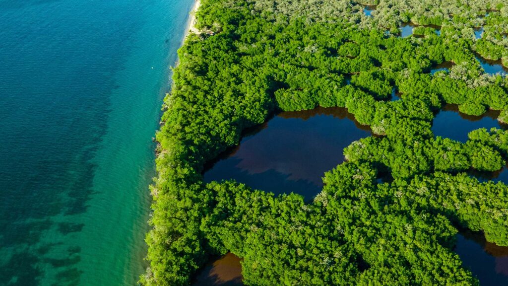 Lots of trees and lakes near the Caribbean sea