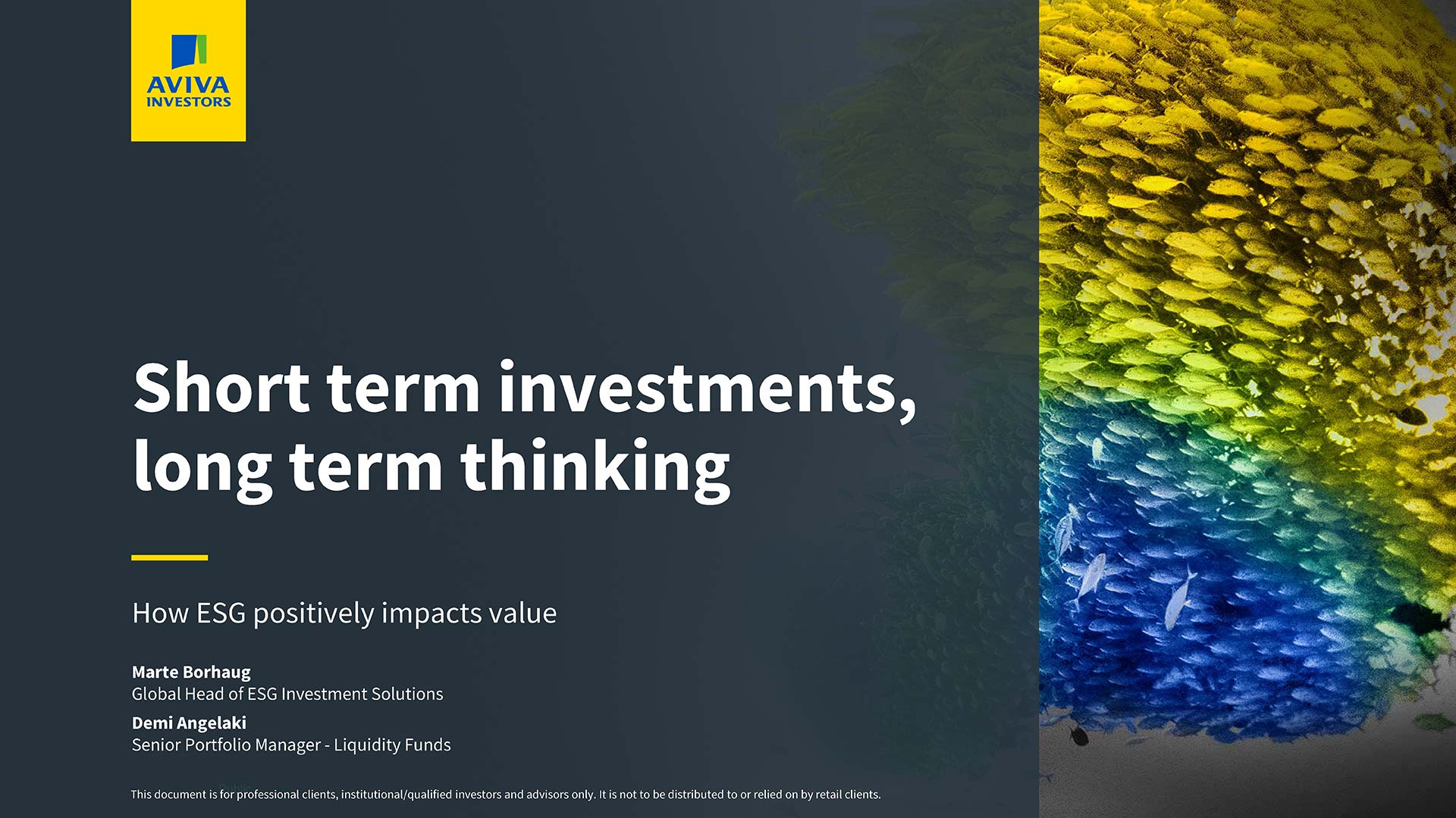 Short-term investments, long-term thinking: how ESG positively impacts value webinar