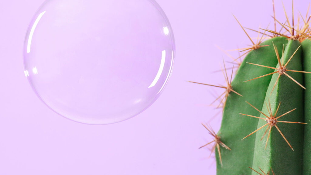 Soap bubble near a prickly cactus