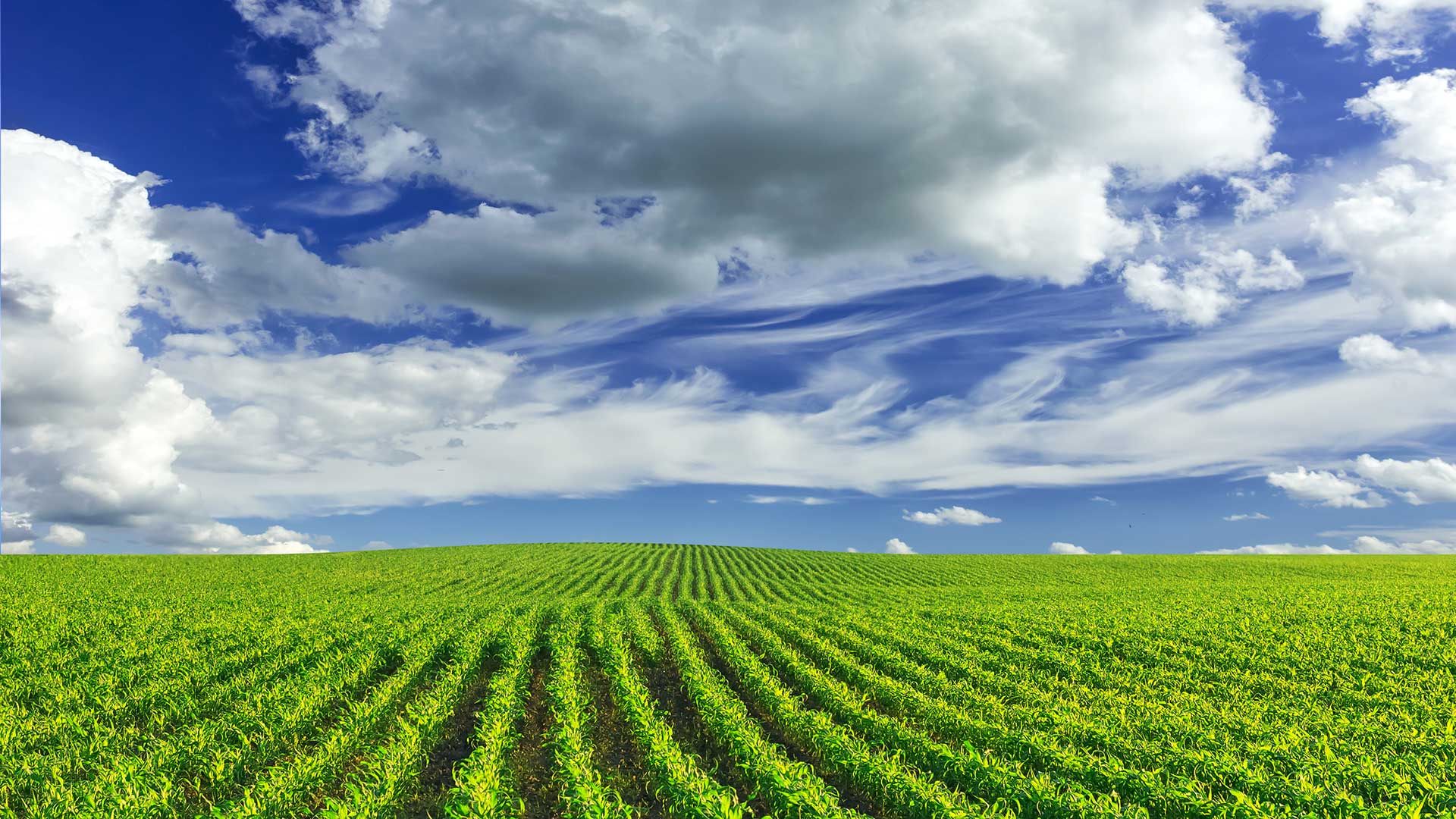 Greening the cloud