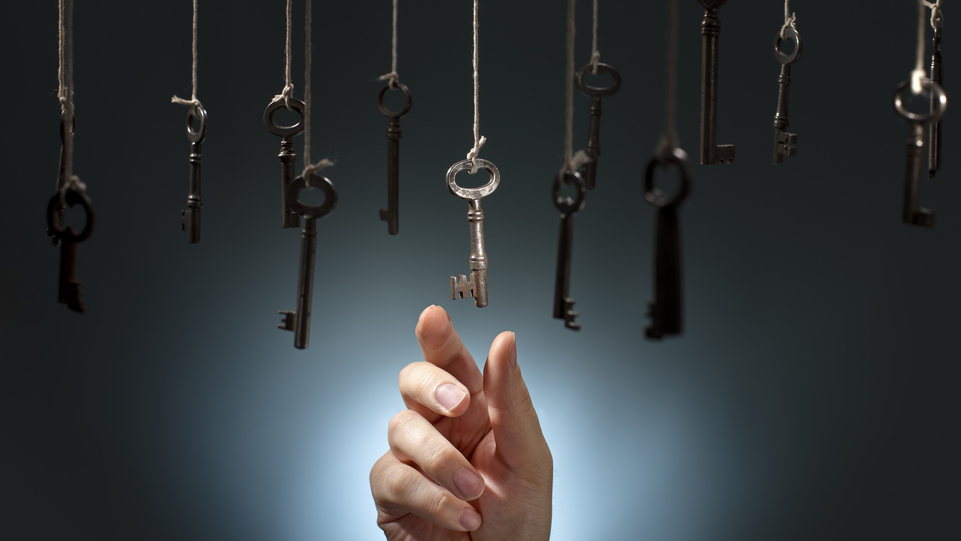 CFOs and treasurers assume key tariff roles