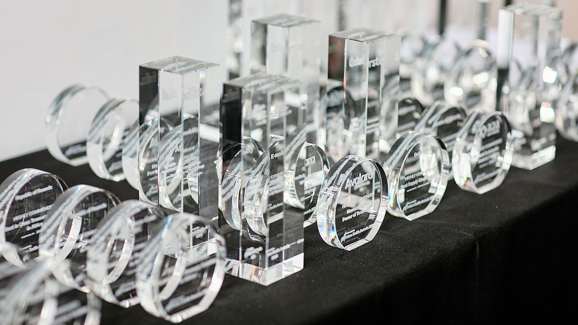 Celebrating the best and brightest