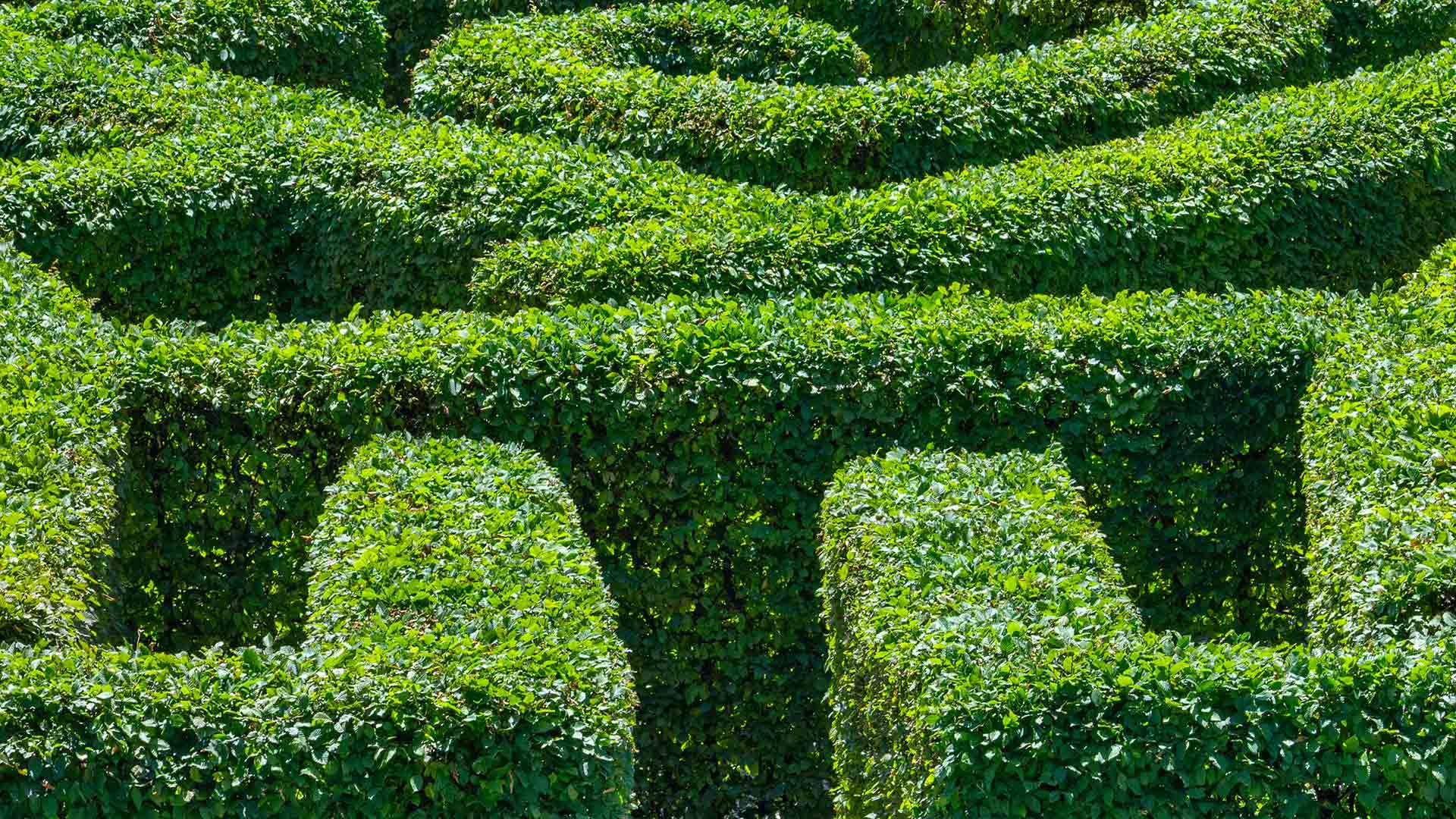 Too late to hedge?