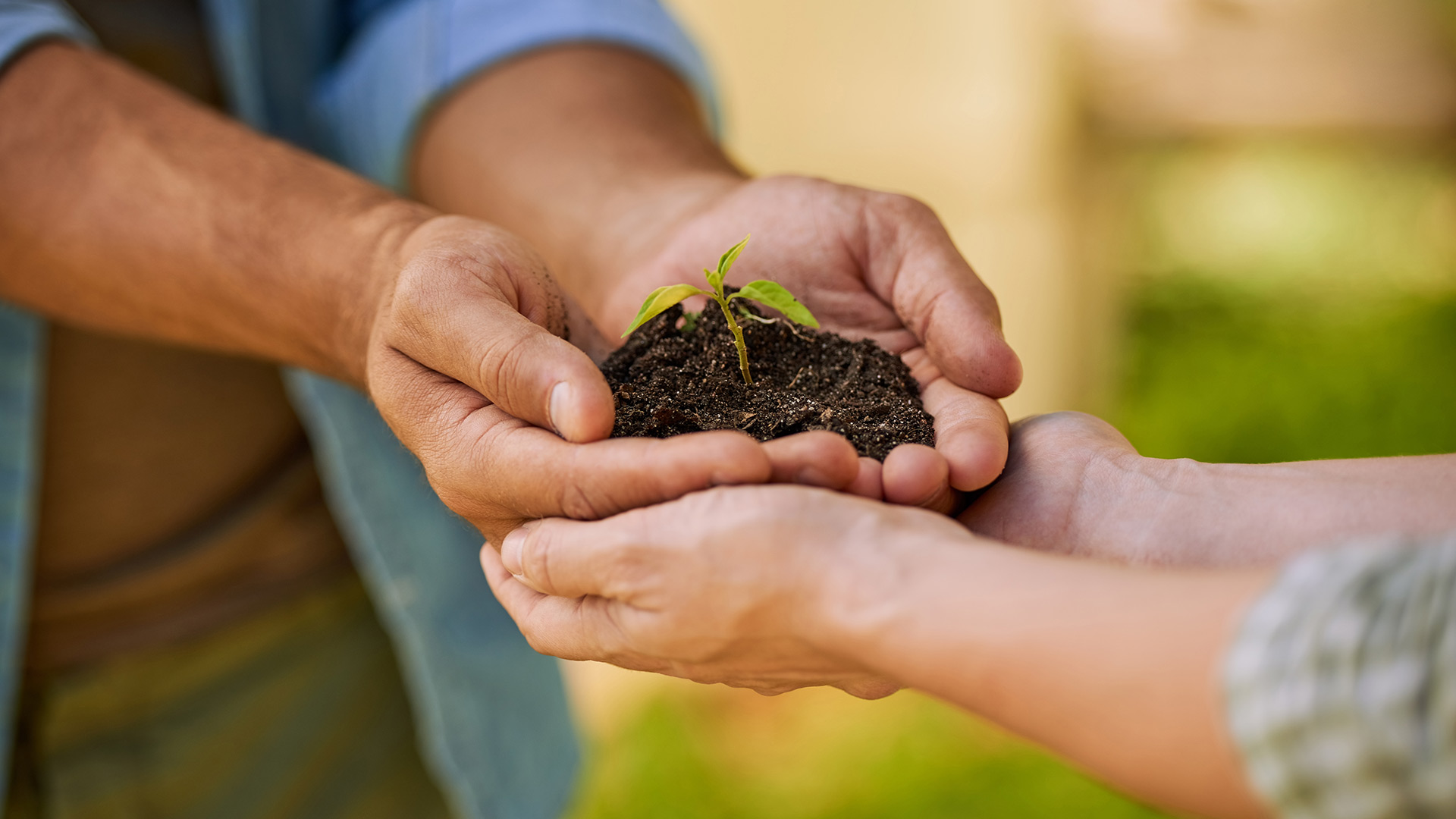 The increasing sophistication of nonprofits