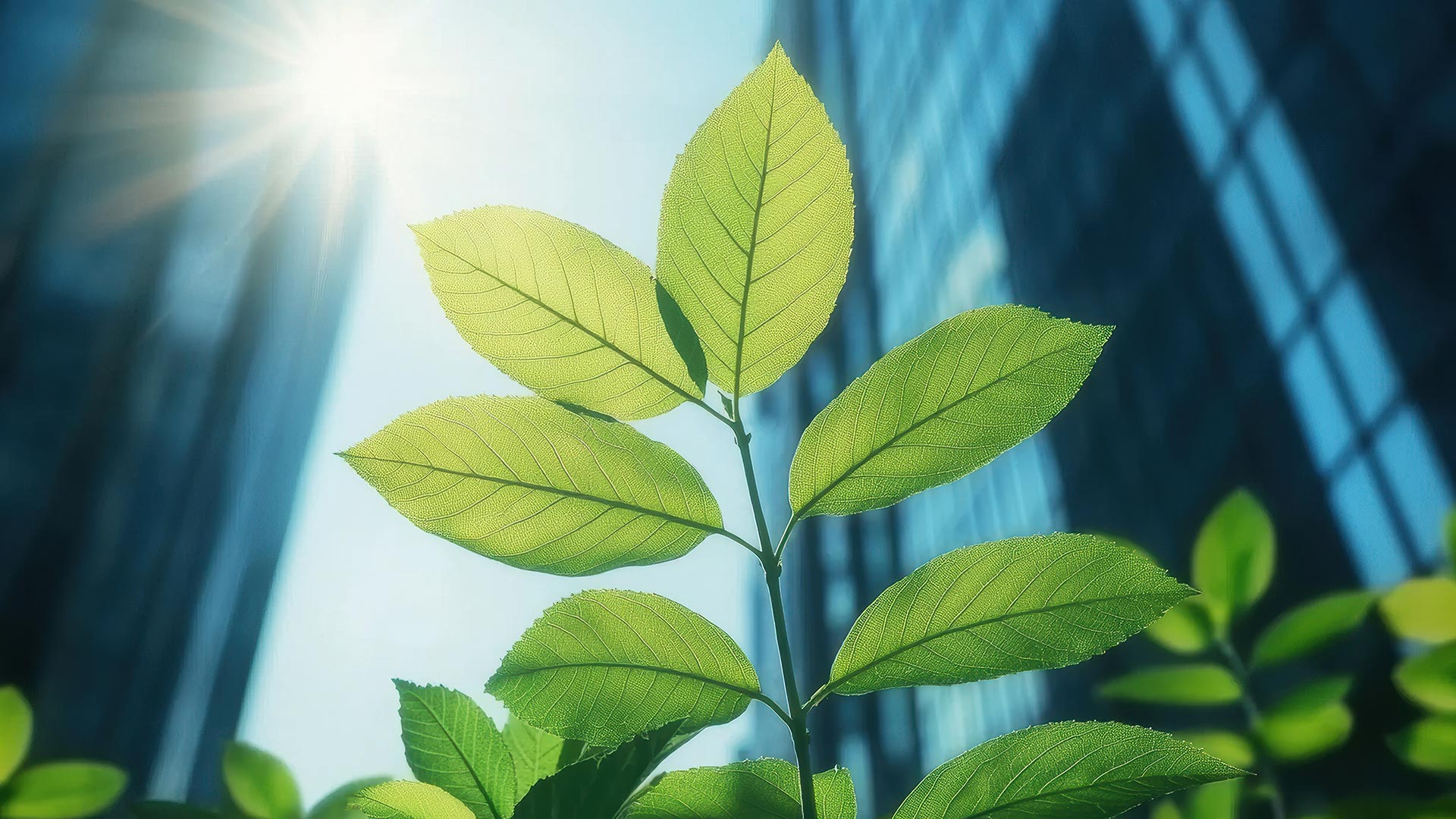 Succeeding in the emissions mission